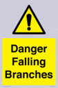 danger-falling-branches~